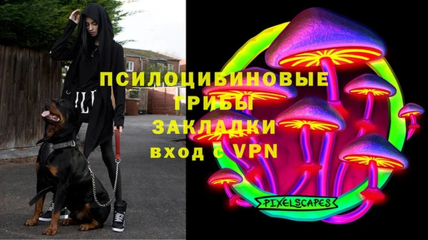 спиды Алексеевка
